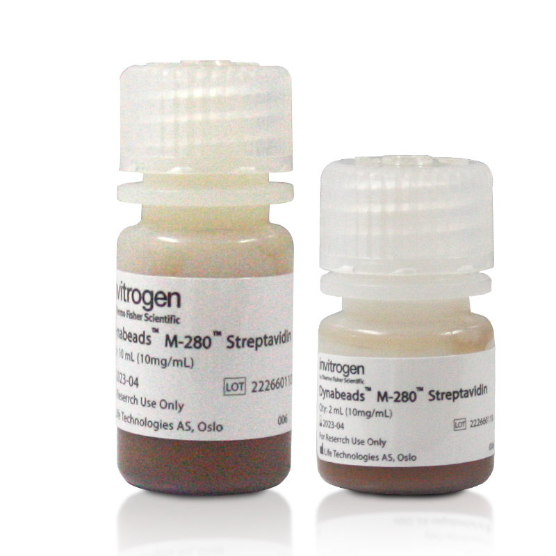 Invitrogen Dynabeads M-280 Streptavidin链霉亲和素磁珠