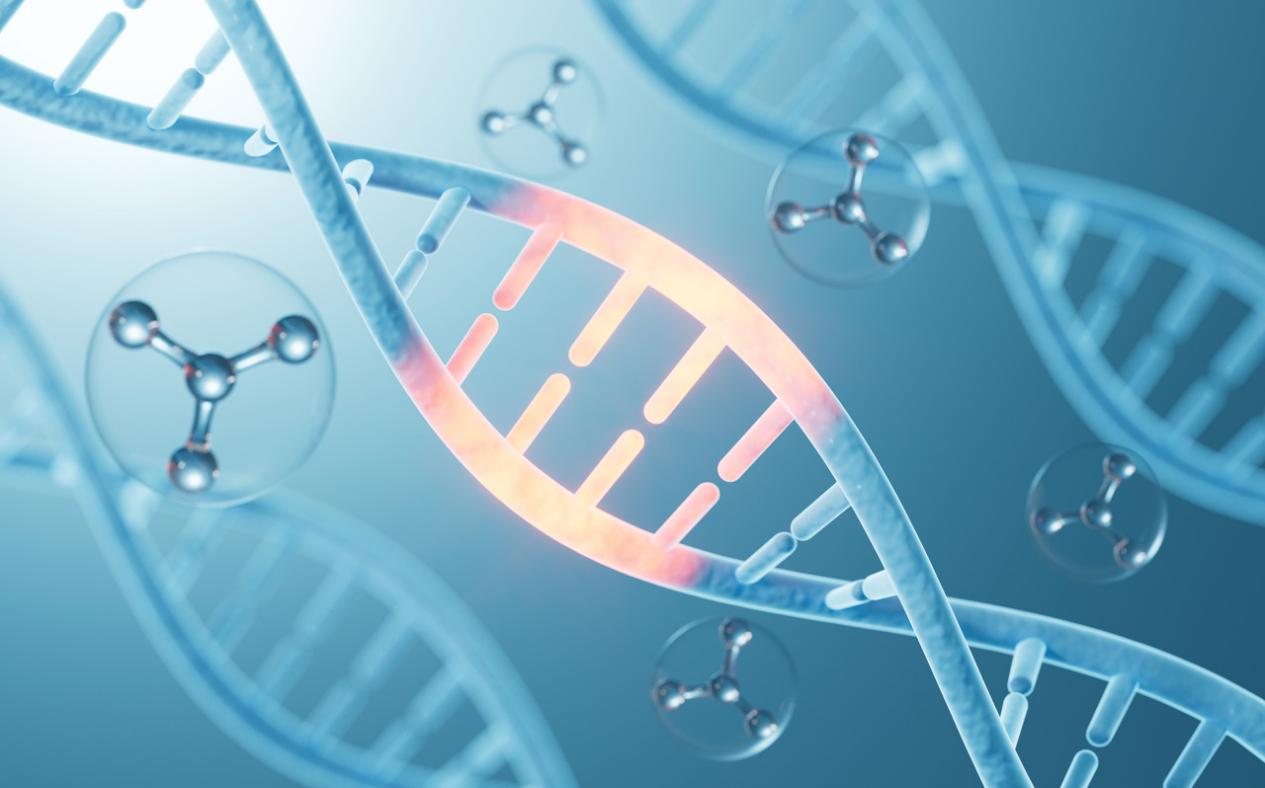 麦伯产品应用于NC前沿研究，见证精准基因编辑新突破！