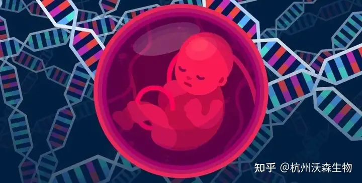 綜述解讀 | 數字PCR在產(chǎn)前診斷中的突破與應用